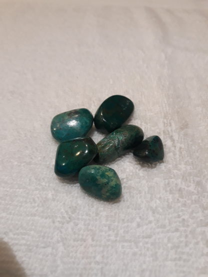 chrysocolle